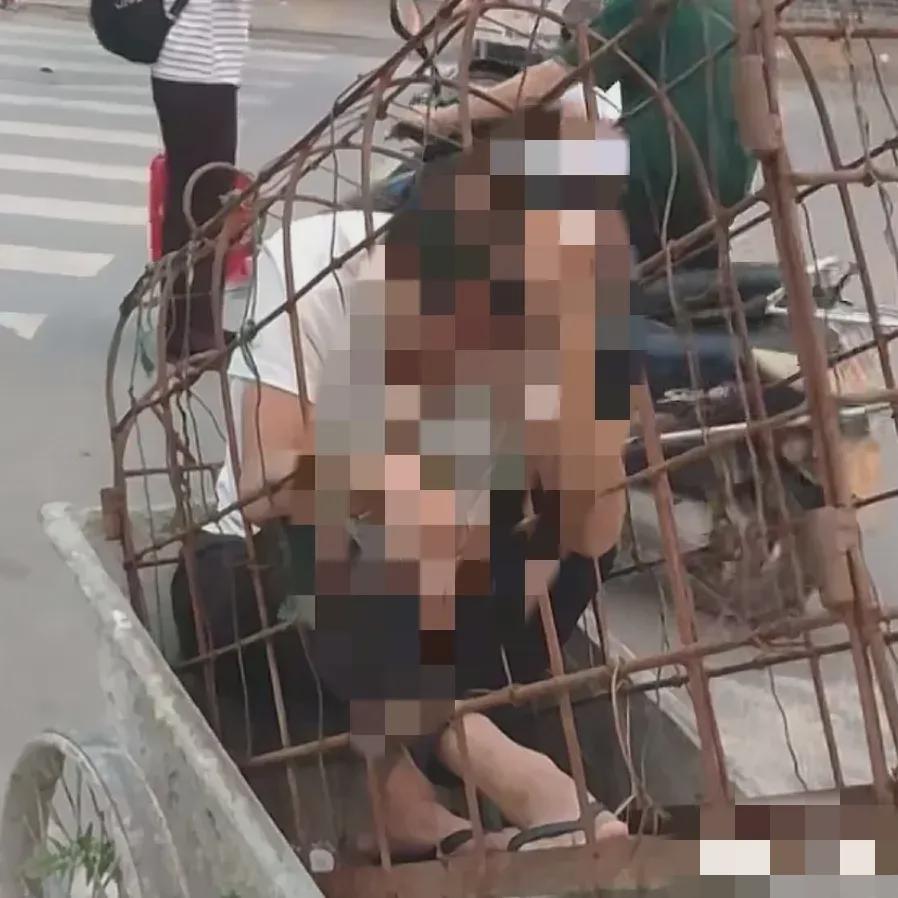 警方回应多人拉女子浸猪笼游行事件，法律与道德的双重审视