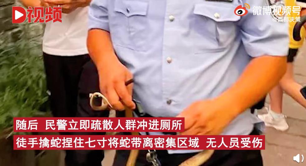 男子徒手抓蛇被咬，惊心动魄的生死瞬间
