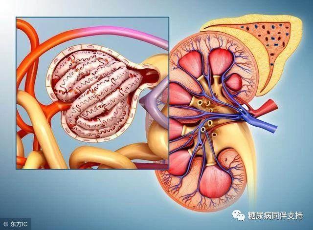 一个简单动作，帮你有效降低餐后血糖