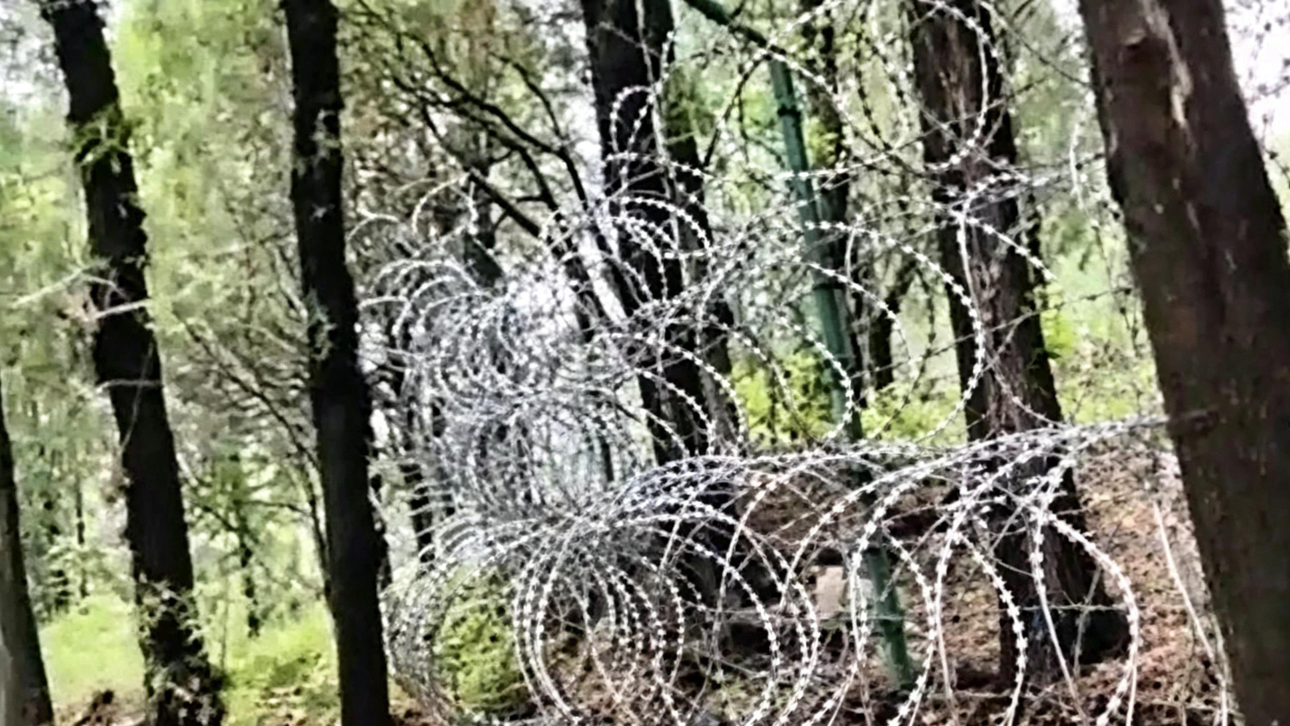 泰山的锋芒，揭秘泰山刀片刺网的惊人锐利