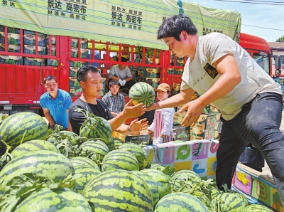 媒体，河南人用西瓜甜了全网