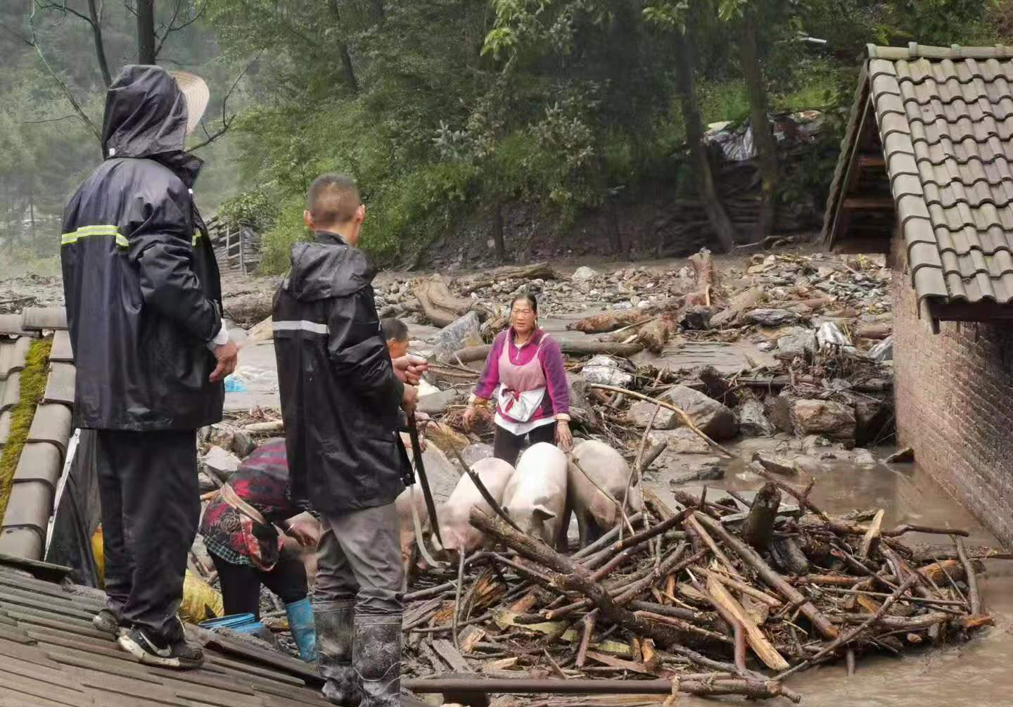 广西暴雨灾害，6人遇难，11人失联的沉重时刻